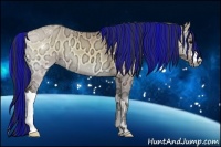 Horse Color:Painted Buckskin Ice Onyx 