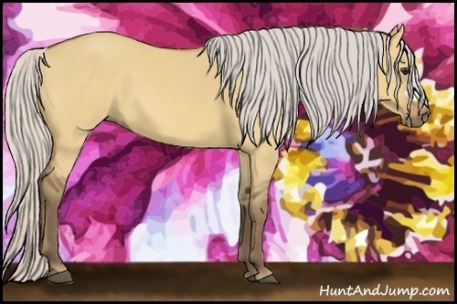 Horse Color:Silver Bay Dun 