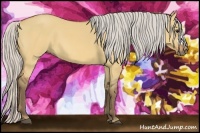 Horse Color:Silver Bay Dun 