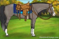 Horse Color:Grullo Sabino Splash 