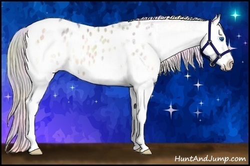 Horse Color:Nacre Silver Bay Ice Roan Onyx Splash Blanket