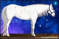 Horse Color:Nacre Silver Bay Ice Roan Onyx Splash Appaloosa