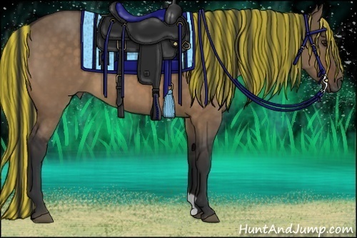 Horse Color:Painted Bay Dun 