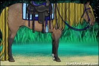 Horse Color:Painted Bay Dun