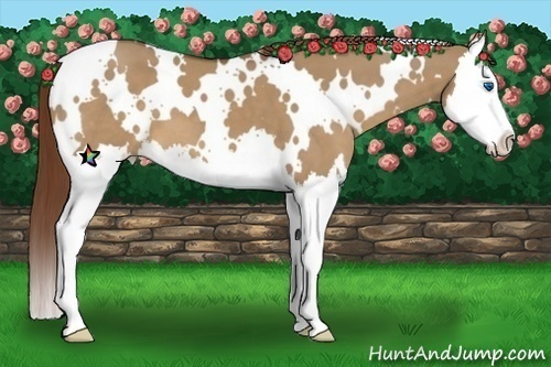 Horse Color:White Spotted Red Dun Splash 