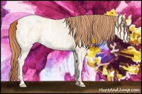 Horse Color:Buckskin Ice Pearl Dun