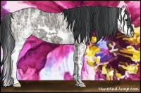 Horse Color:White Spotted Black Ice Splash 