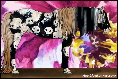 Horse Color:Chestnut Ice Pearl Sabino Splash Rabicano 