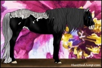 Horse Color:Grullo Ice Sabino Splash