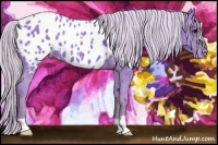 Horse Color:Watercolor Silver Black Appaloosa