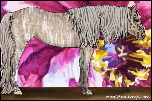 Horse Color:Silver Brown Ice Rabicano 