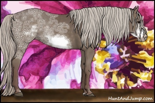 Horse Color:Silver Black Ice Sabino Frame Rabicano 