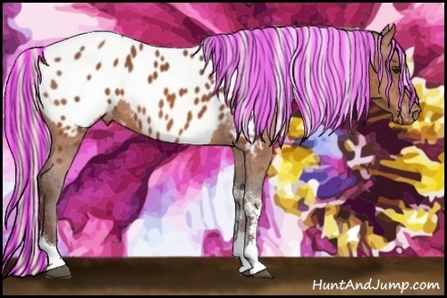 Horse Color:Painted Silver Brown Tobiano Near Leopard Rabicano