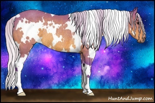 Horse Color:Watercolor White Spotted Silver Bay Rabicano 
