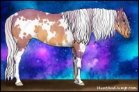 Horse Color:Watercolor White Spotted Silver Bay Rabicano 