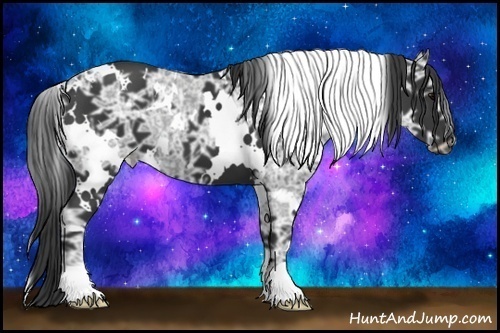 Horse Color:White Spotted Black Ice 