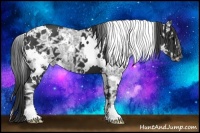 Horse Color:White Spotted Black Ice 