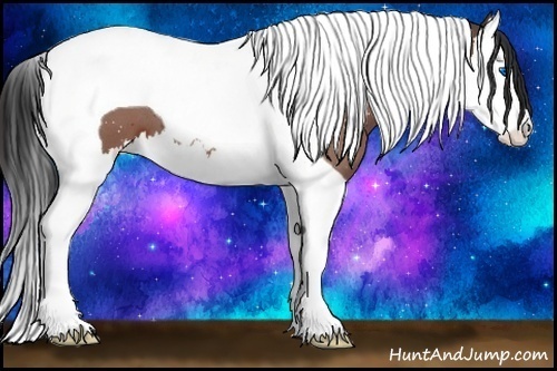 Horse Color:Bay Roan Splash Tobiano 