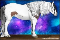 Horse Color:Bay Roan Splash Tobiano 