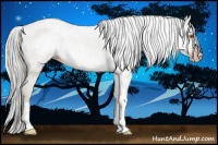 Horse Color:Gray Classic Champagne Dun 