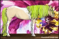 Horse Color:Painted Silver Amber Cream Champagne Roan Tobiano Rabicano 