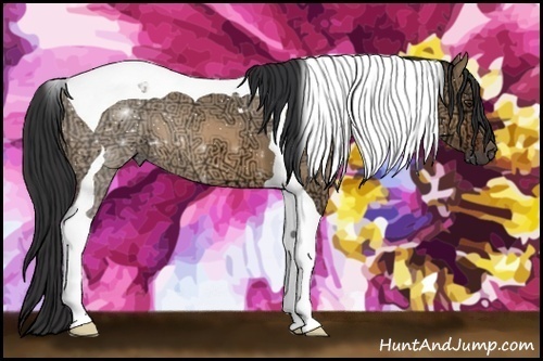 Horse Color:Bay Ice Dun Tobiano 