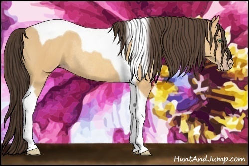 Horse Color:Amber Champagne Tobiano Rabicano 