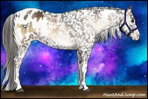 Horse Color:White Spotted Liver Red Onyx Roan Appaloosa 