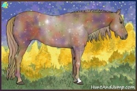 Horse Color:Nacre Chestnut 