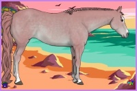 Horse Color:Watercolor Chestnut Sabino 