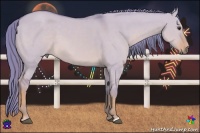 Horse Color:Watercolor Red Dun