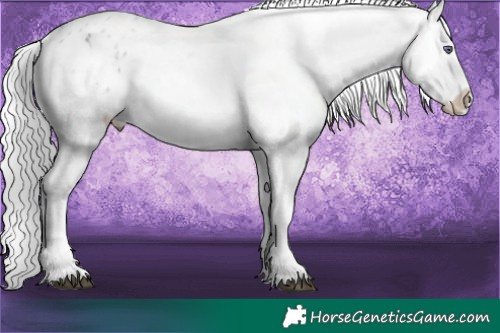 Horse Color:White Spotted Grullo Chinchilla Splash Varnish 
