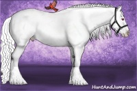 Horse Color:White Spotted Grullo Chinchilla Splash Appaloosa 