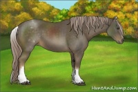 Horse Color:White Spotted Chocolate Palomino Sabino