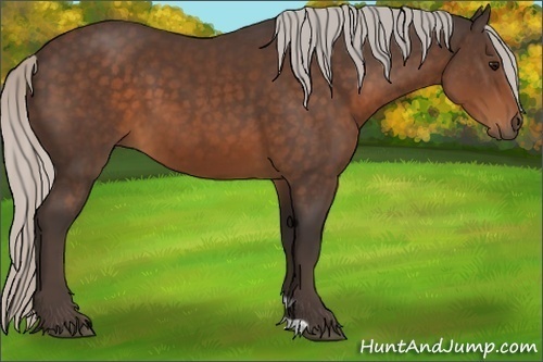 Horse Color:Silver Brown 