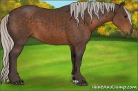 Horse Color:Silver Brown 