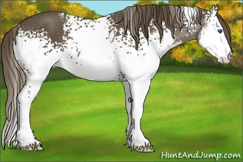 Horse Color:White Spotted Liver Chestnut Splash 