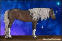 Horse Color:Silver Bay 