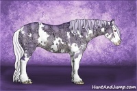 Horse Color:Watercolor White Spotted Silver Grullo Chinchilla Ice Splash 