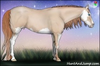 Horse Color:Smoky Black Pearl Splash Frame 
