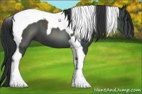 Horse Color:Black Tobiano 