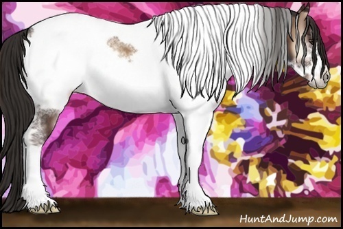 Horse Color:White Spotted Liver Red Onyx Tobiano Frame