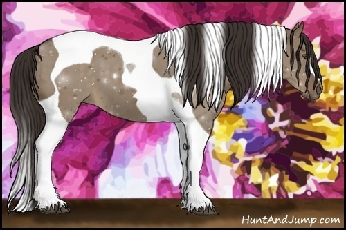 Horse Color:Liver Red Dun Tobiano 