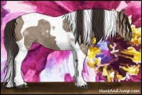 Horse Color:Liver Red Dun Tobiano 