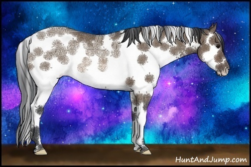 Horse Color:White Spotted Brown Ice Dun Rabicano