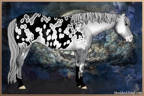 Horse Color:Buckskin Chinchilla Onyx Blanket 