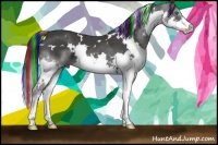 Horse Color:Painted White Spotted Black Splash 