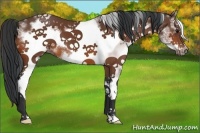 Horse Color:White Spotted Bay Frame 