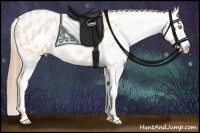 Horse Color:Buckskin Pearl Appaloosa