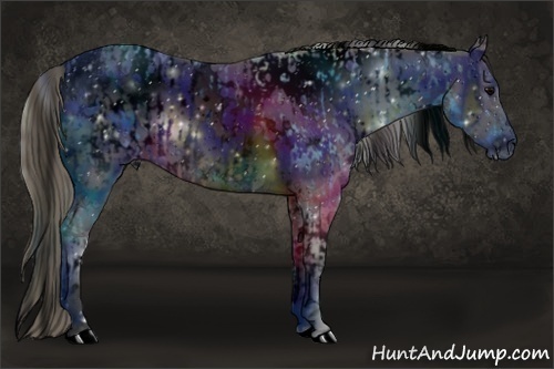 Horse Color:ERROR: UNKNOWN ANOMALY and ERROR: UNKNOWN ANOMALY